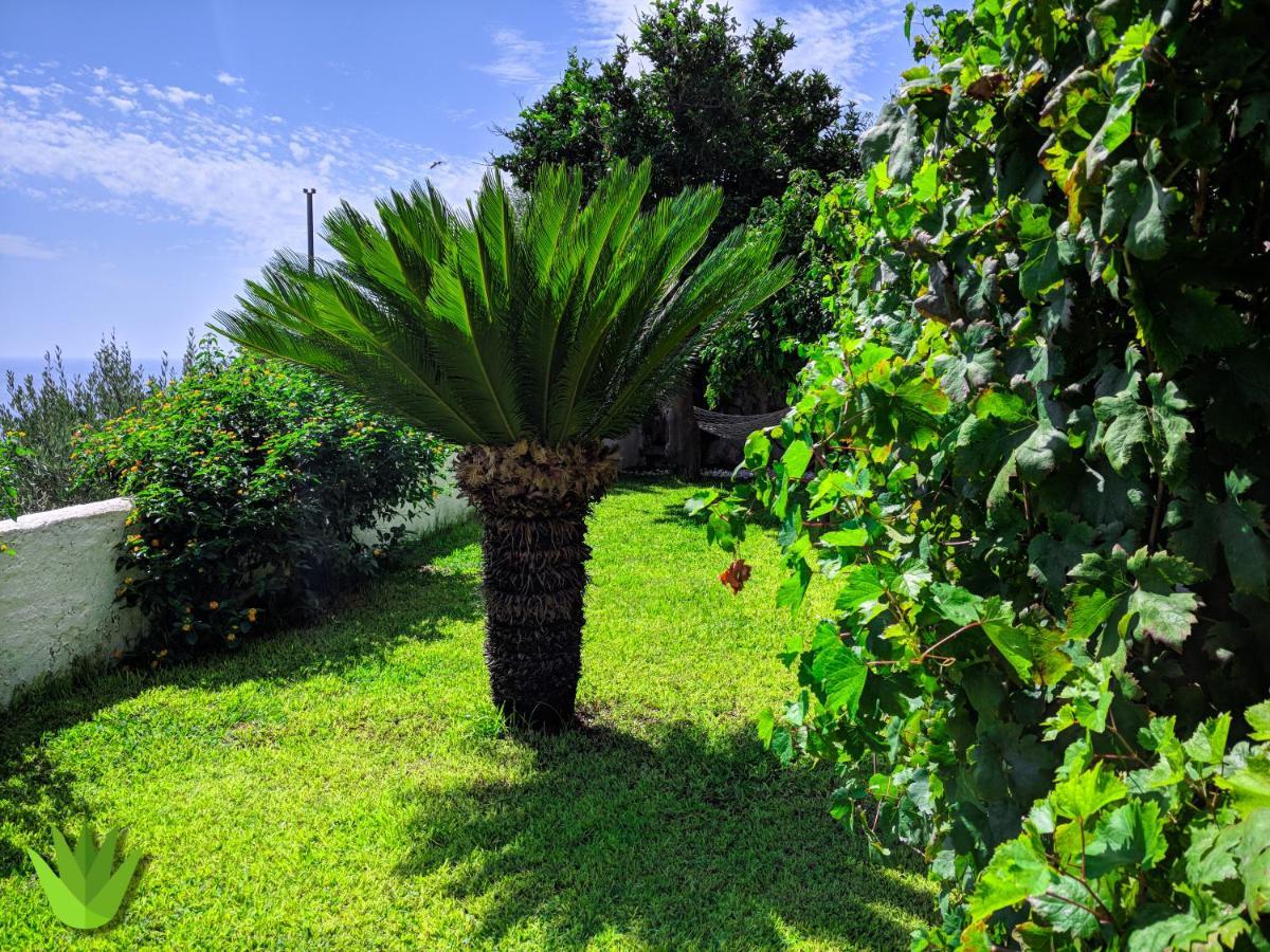 Villa Delle Agavi В'єтрі Екстер'єр фото
