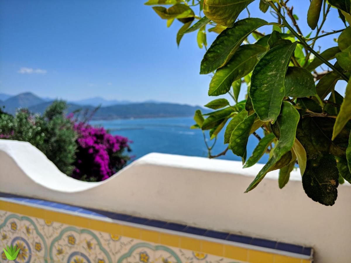 Villa Delle Agavi В'єтрі Екстер'єр фото