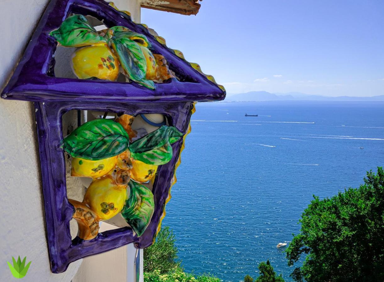 Villa Delle Agavi В'єтрі Екстер'єр фото