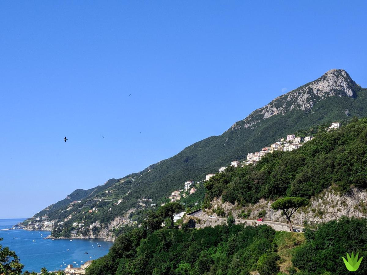 Villa Delle Agavi В'єтрі Екстер'єр фото